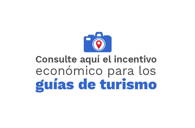Imagen de Incentivo-guias-turismo