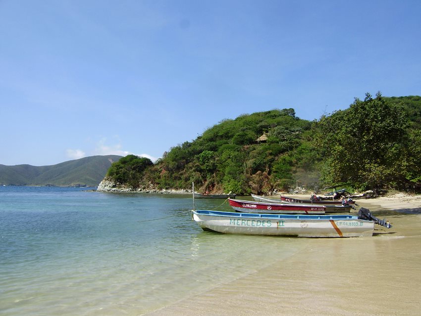 La sostenibilidad y la innovación serán determinantes para repensar el sector turístico pos-COVID-19