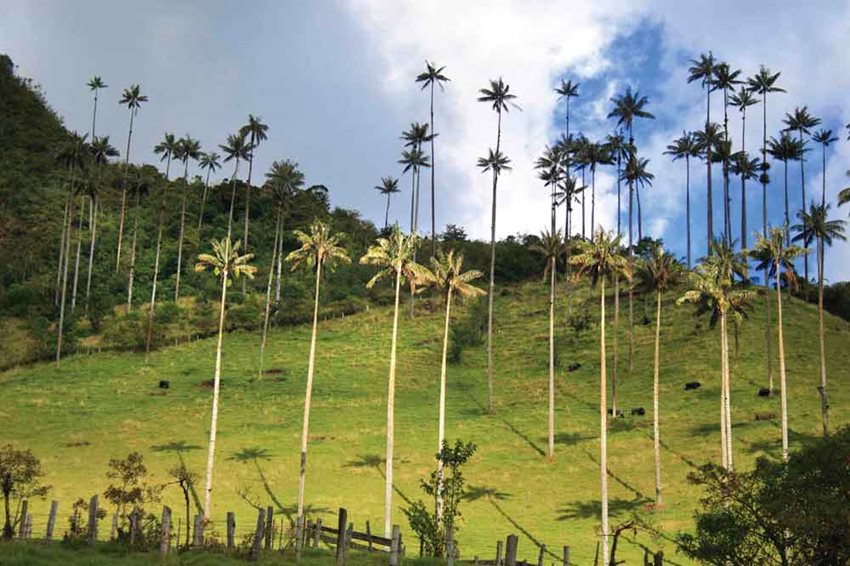 El PCC no solo tiene espacios para la observación de la naturaleza, también para interactuar con ella.