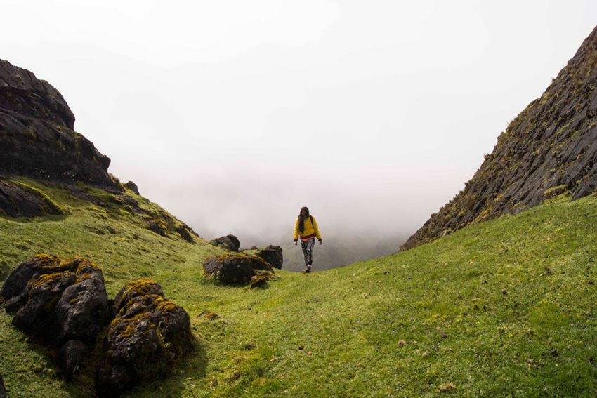Foto: Sobre tierra de gigantes. María Alejandra Parrado Vargas. Páramo del Almorzadero, Santander.