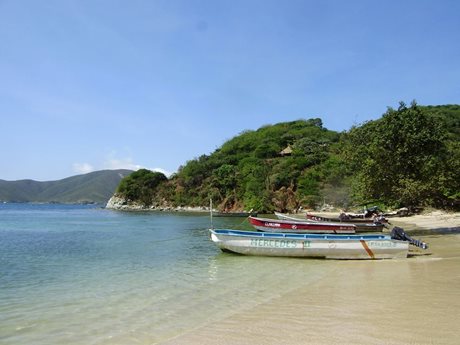 La sostenibilidad y la innovación serán determinantes para repensar el sector turístico pos-COVID-19